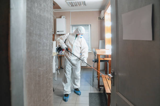 Best Comprehensive Air Testing for Mold Contaminants  in Middlebury, IN